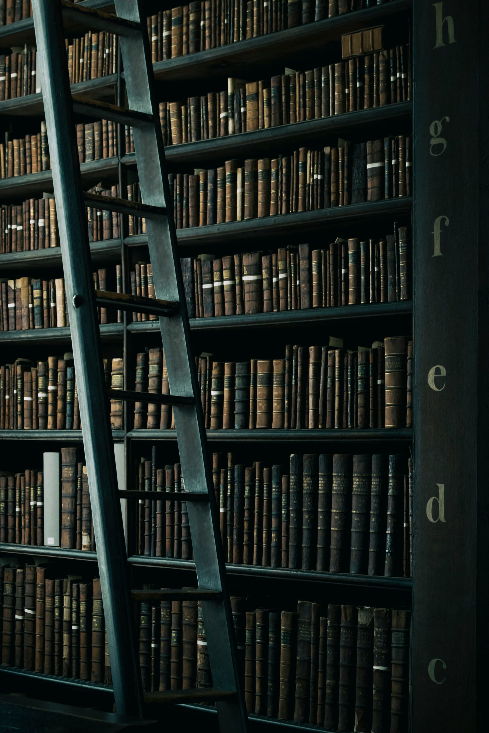 bibliothèque articles actualités sport formation